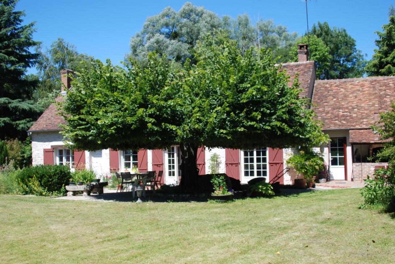 La Petite Marguerite Bed & Breakfast Chitenay Luaran gambar
