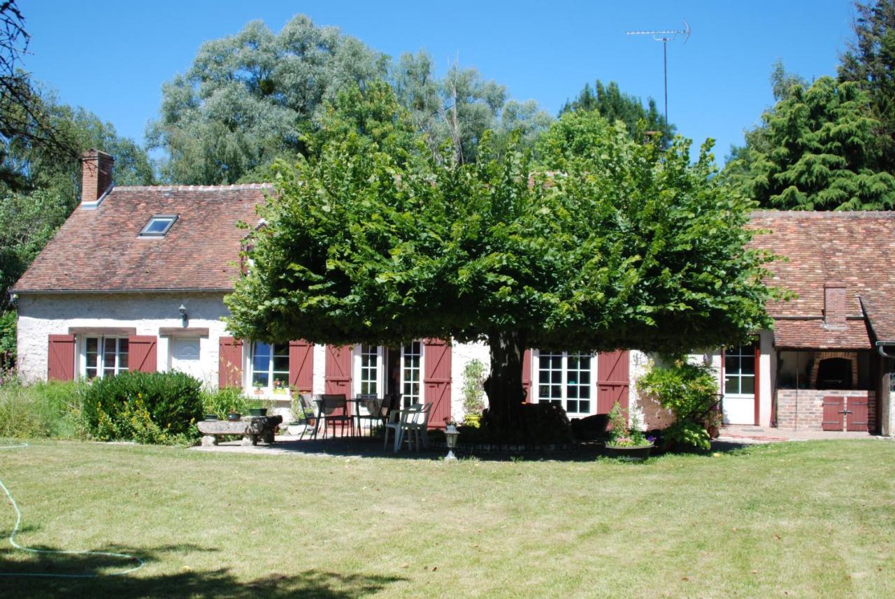 La Petite Marguerite Bed & Breakfast Chitenay Luaran gambar