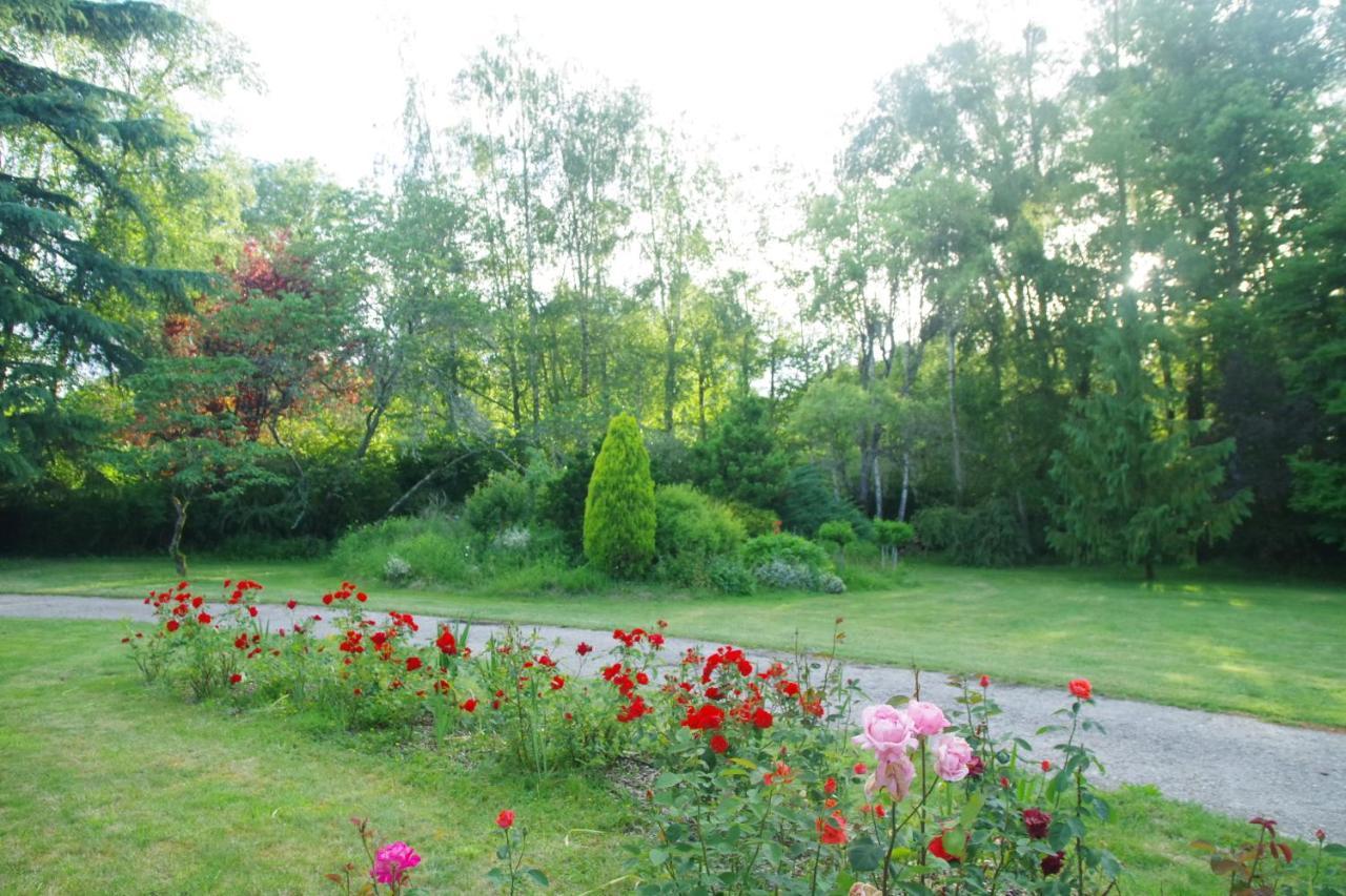 La Petite Marguerite Bed & Breakfast Chitenay Luaran gambar